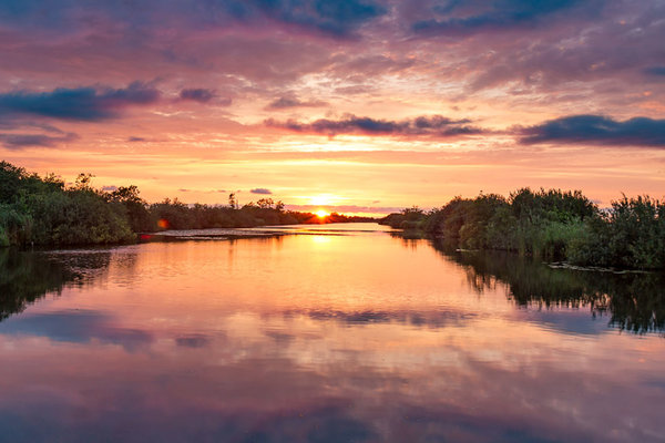 De Alde Feanen National Park at sunset 