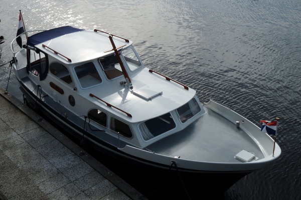 3 Oostvaarder 900AK.JPG